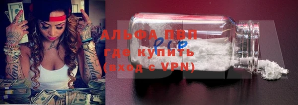 ешки Аркадак