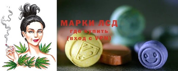 ешки Аркадак
