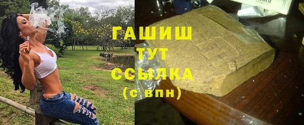 молекула духа Арсеньев