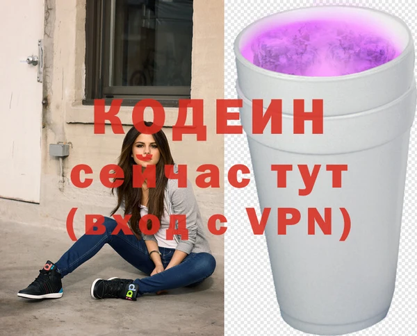 молекула духа Арсеньев