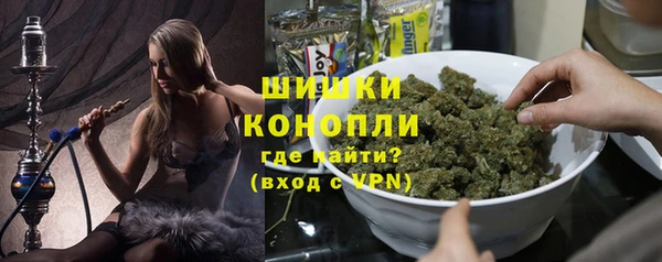 молекула духа Арсеньев