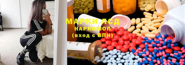 ешки Аркадак