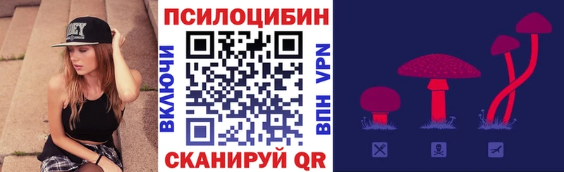 магазин    Северо-Курильск  гидра как зайти  Галлюциногенные грибы Magic Shrooms 